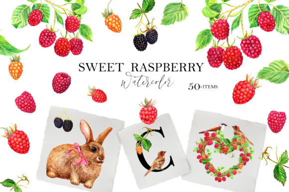 Adding a Touch of Artistic Charm with Sweet Raspberry