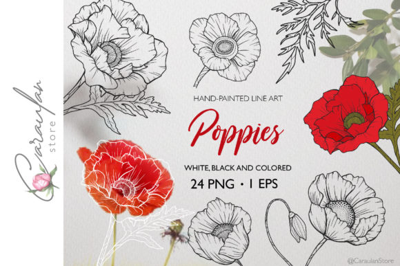 Discovering Poppies Line Art PNG and Poppies EPS: A Digital Asset for Modern Creatives