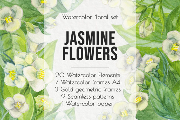 Elevate Your Projects with Jasmine Flowers Watercolor Clip Art
