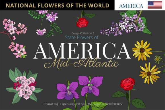 Flowers of Mid‑Atlantic States: A Strategic Resource for Creators and Professionals