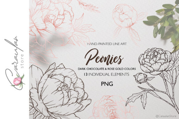 Peony Line Drawing PNG: Elegant Floral Clipart for Creative Projects