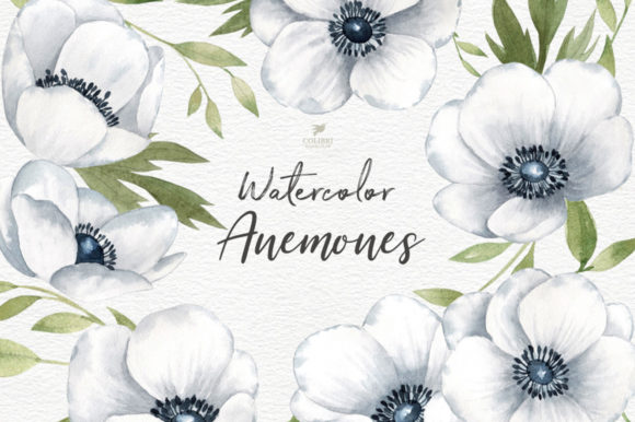 The Distinctive Appeal of an Anemones Watercolor Clipart Set