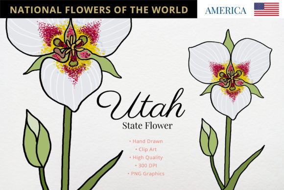 The Utah State Flower: More Than Symbolism—A Strategic Asset for Creators