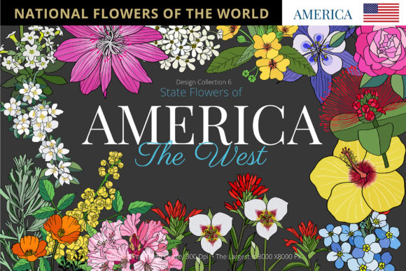 The Western State Flowers Collection: A Resource for Creators and Storytellers