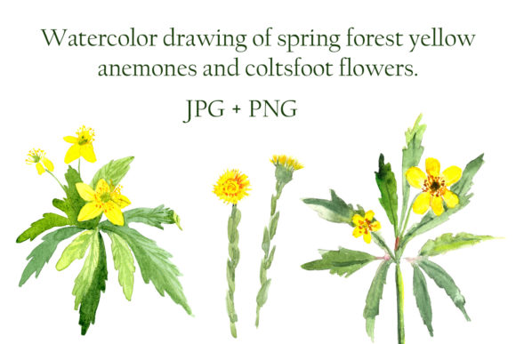 Watercolor Spring Yellow Flowers: A Delicate Tool for Creative Projects